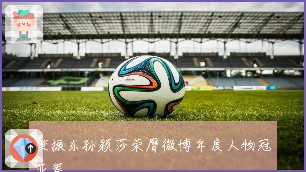 樊振东孙颖莎荣膺微博年度人物冠亚军